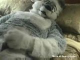 Wolf Masturbating - Wolf Videos