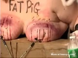 Fat Pig Tit Torture - Tit torture Videos